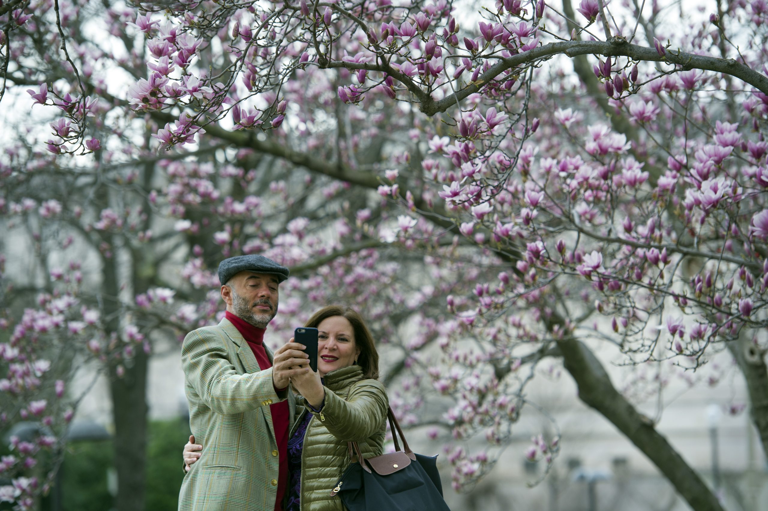 Global warming ‘believers’ reaches 50% for first time