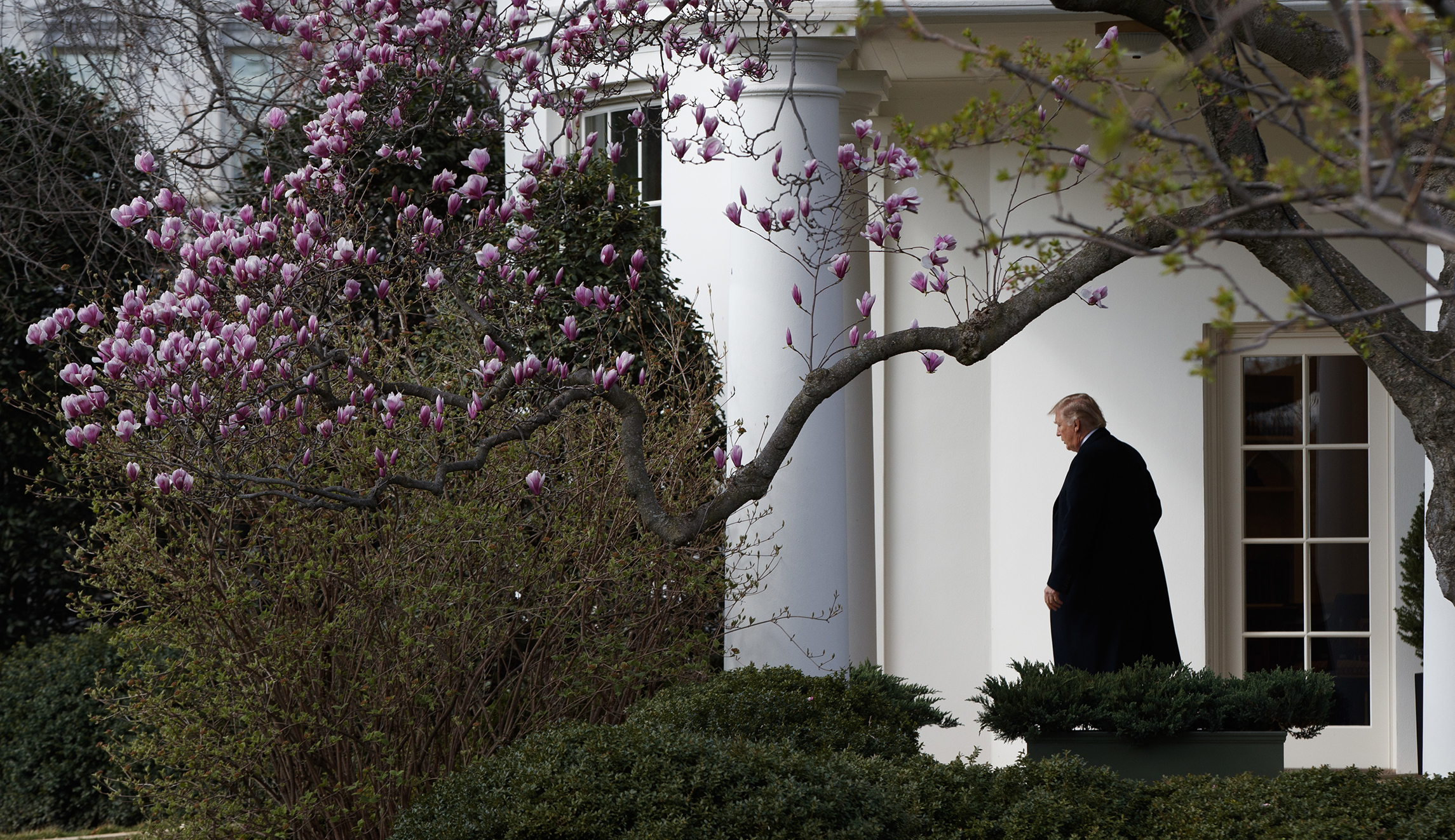 Trump: Stories about chaos in the White House are ‘fake news’