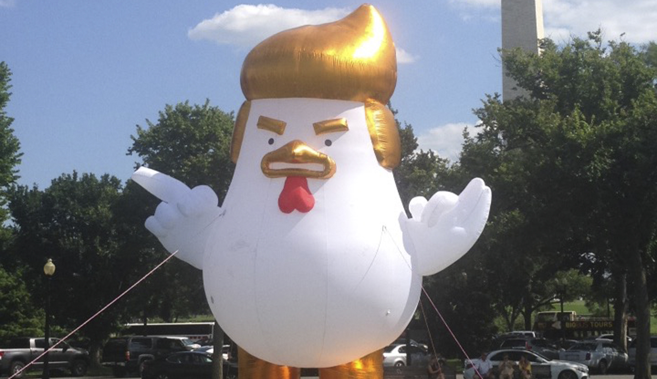 Giant inflatable Trump chicken stares angrily toward White House