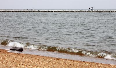 Gray to head Chesapeake Bay cleanup board