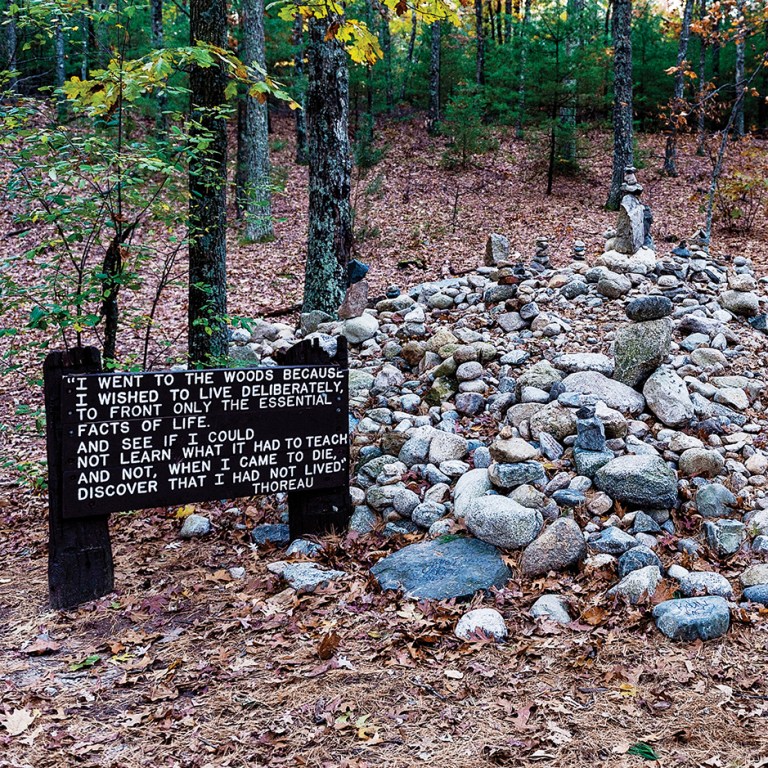 Through the Looking-Glass with Henry David Thoreau