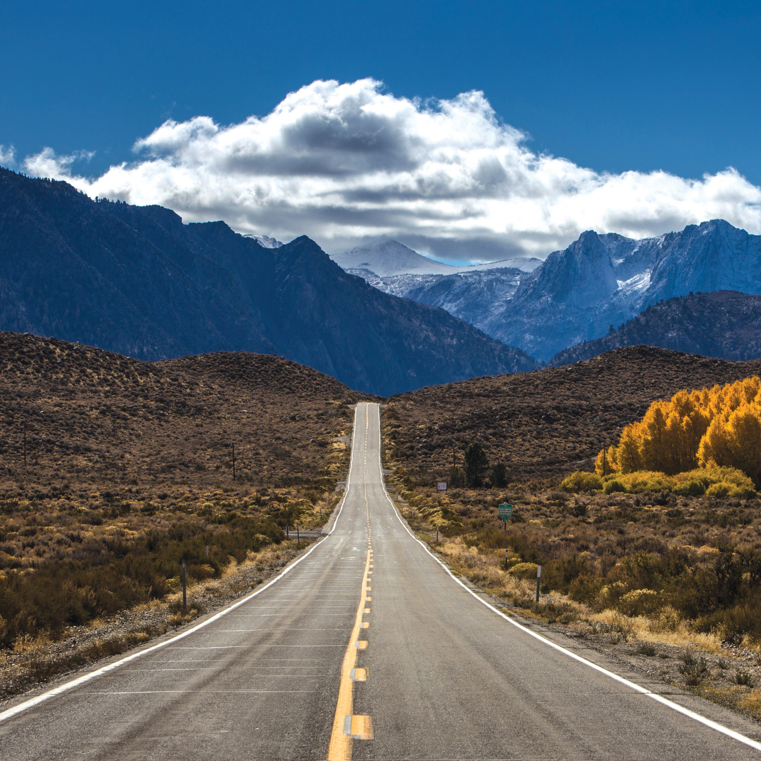 The Existential Charms of Getting Up and Going