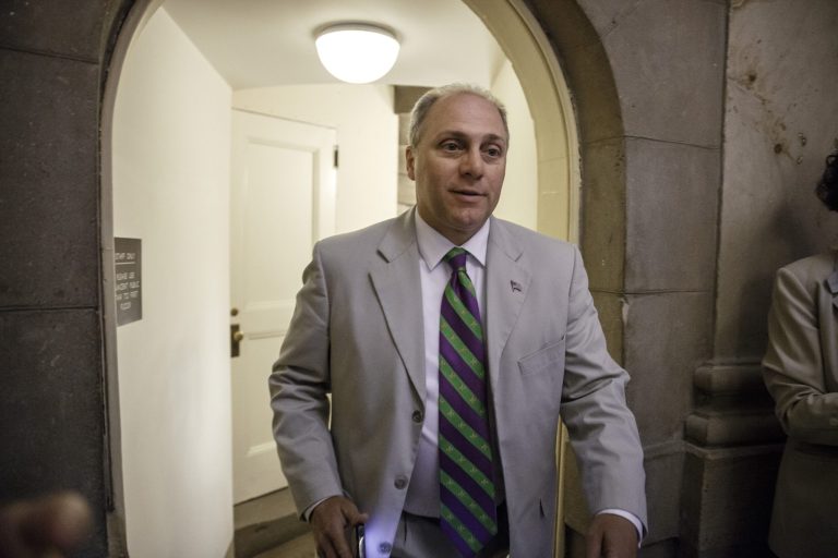 Rep. Steve Scalise, R-La., did not deliver a speech to a white supremacist group. Instead, he attended a separate, fiscal policy event in the same hotel. (AP Photo/J. Scott Applewhite)
