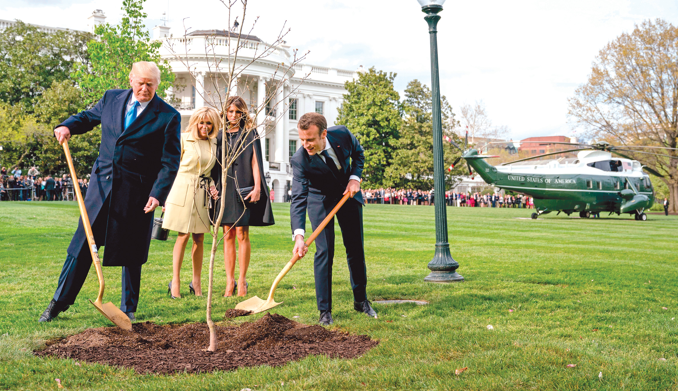 This branch of government is dead