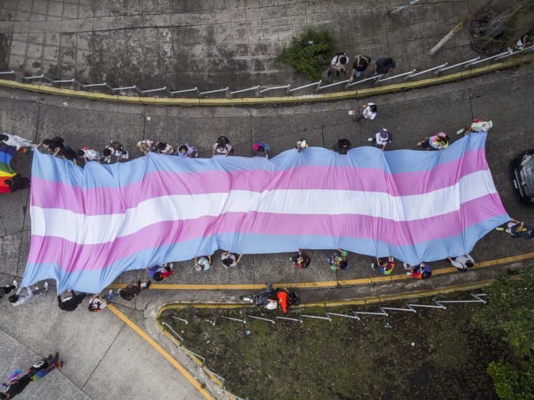 An aerial view of demonstrators carrying the transgender flag.