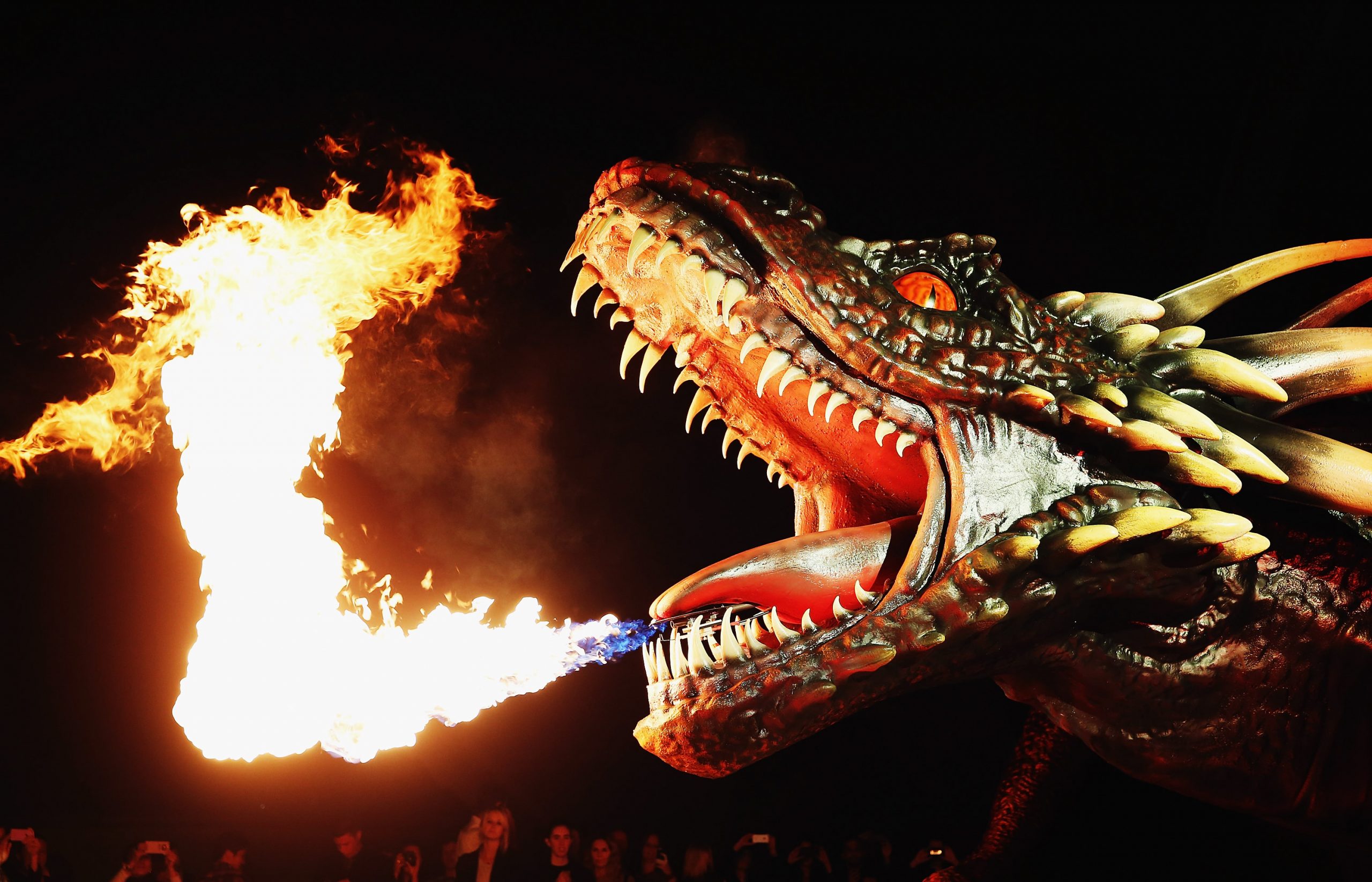 Of Fairies and Dragons