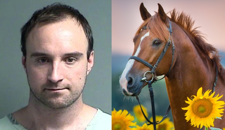 ‘Attracted to equine’: Man allegedly slashed tires of farmers who refused to let him have sex with livestock