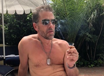 Hunter Biden Chateau