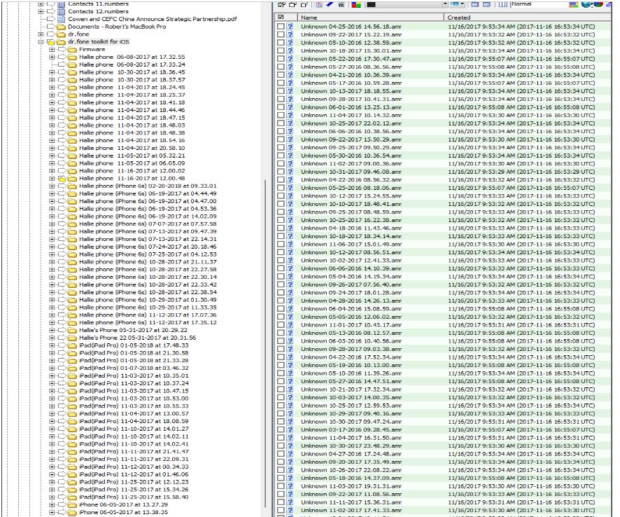 Hunter Biden laptop backups of Hallie Biden's phones.JPG