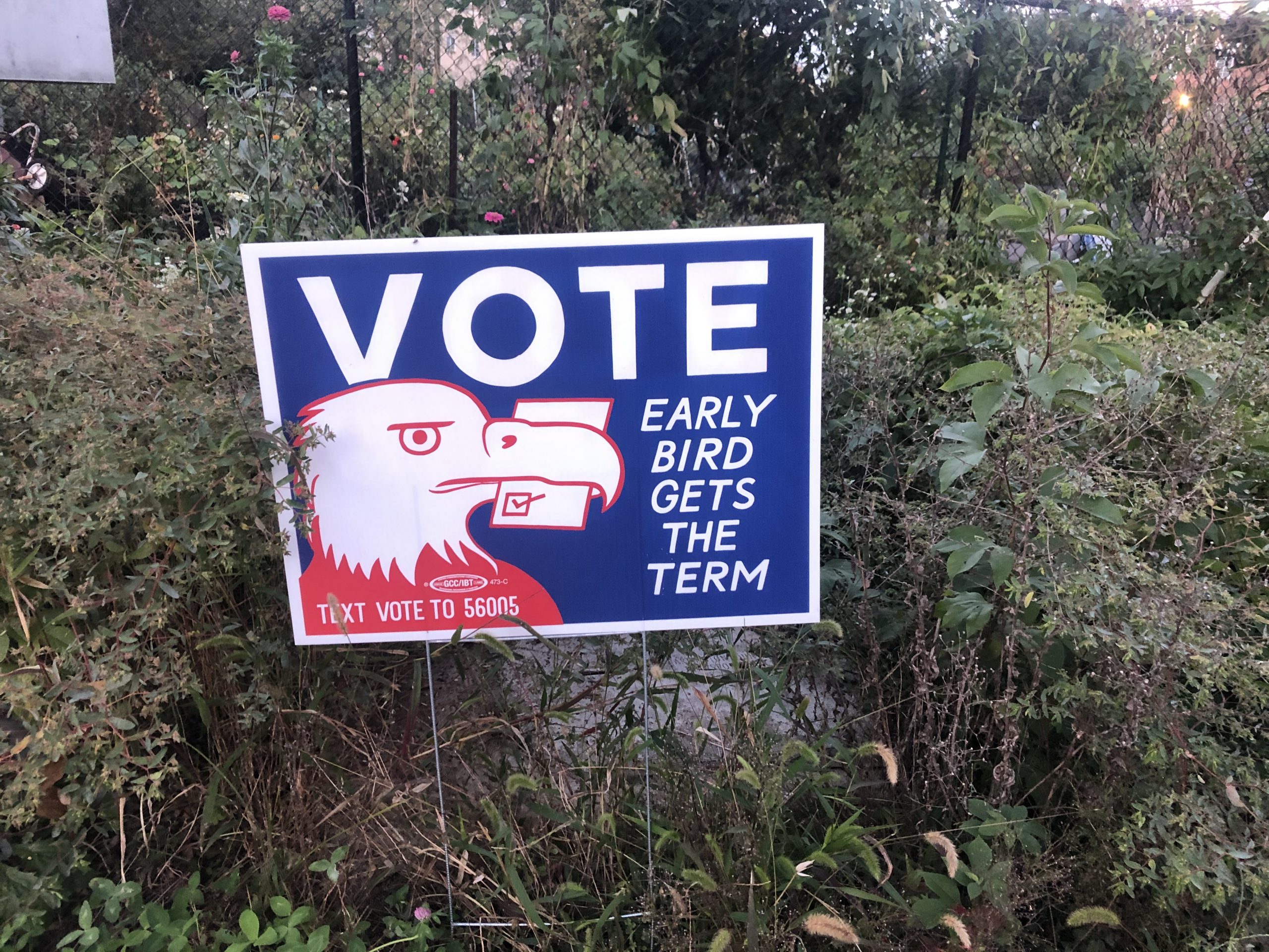 Arlington Virginia Early Voting sign