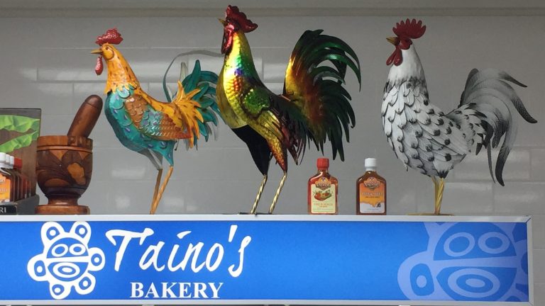 Taino's Bakery is a favorite among Puerto Ricans in Orlando and its suburbs, which saw a heavy influx of emigration from the island following Hurricane Maria in 2017. The Democratic party assumed the new arrivals were a lock in the 2020 election cycle, but Republicans were able to strip away key votes in Florida.