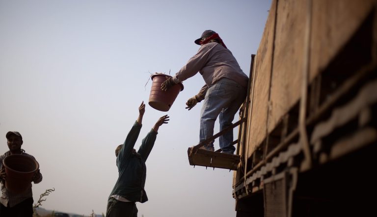 Justice Department, DHS team up to stop US companies from favoring foreign workers: Exclusive