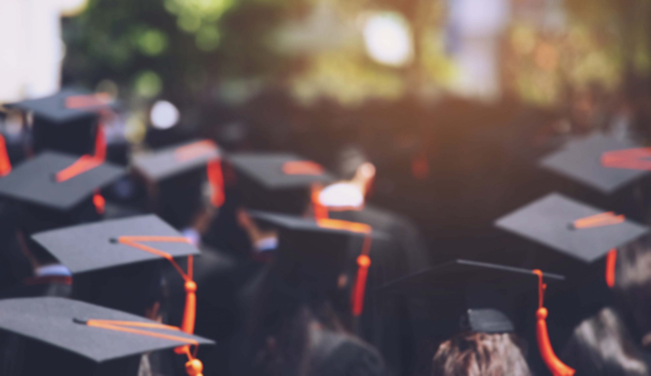 New year, new laws related to education