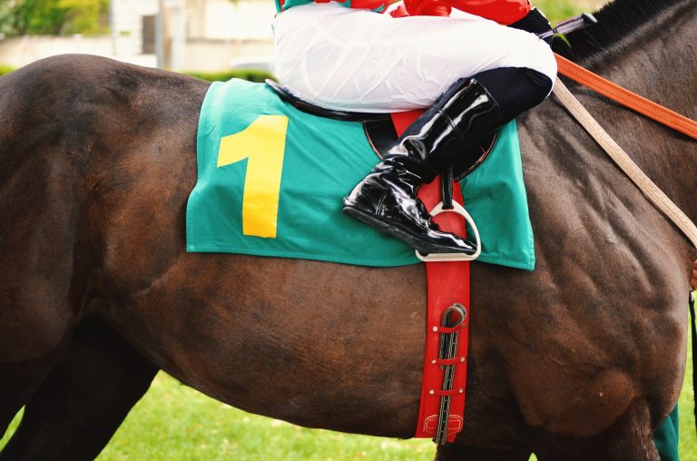 Racehorse throws jockey and runs onto highway before being caught