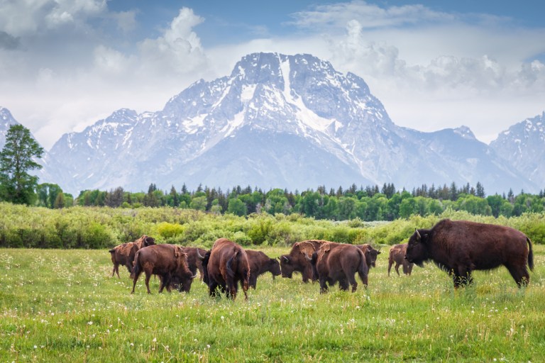 Grand Teton National Park sets visitation record with almost 3.5 million visits through September