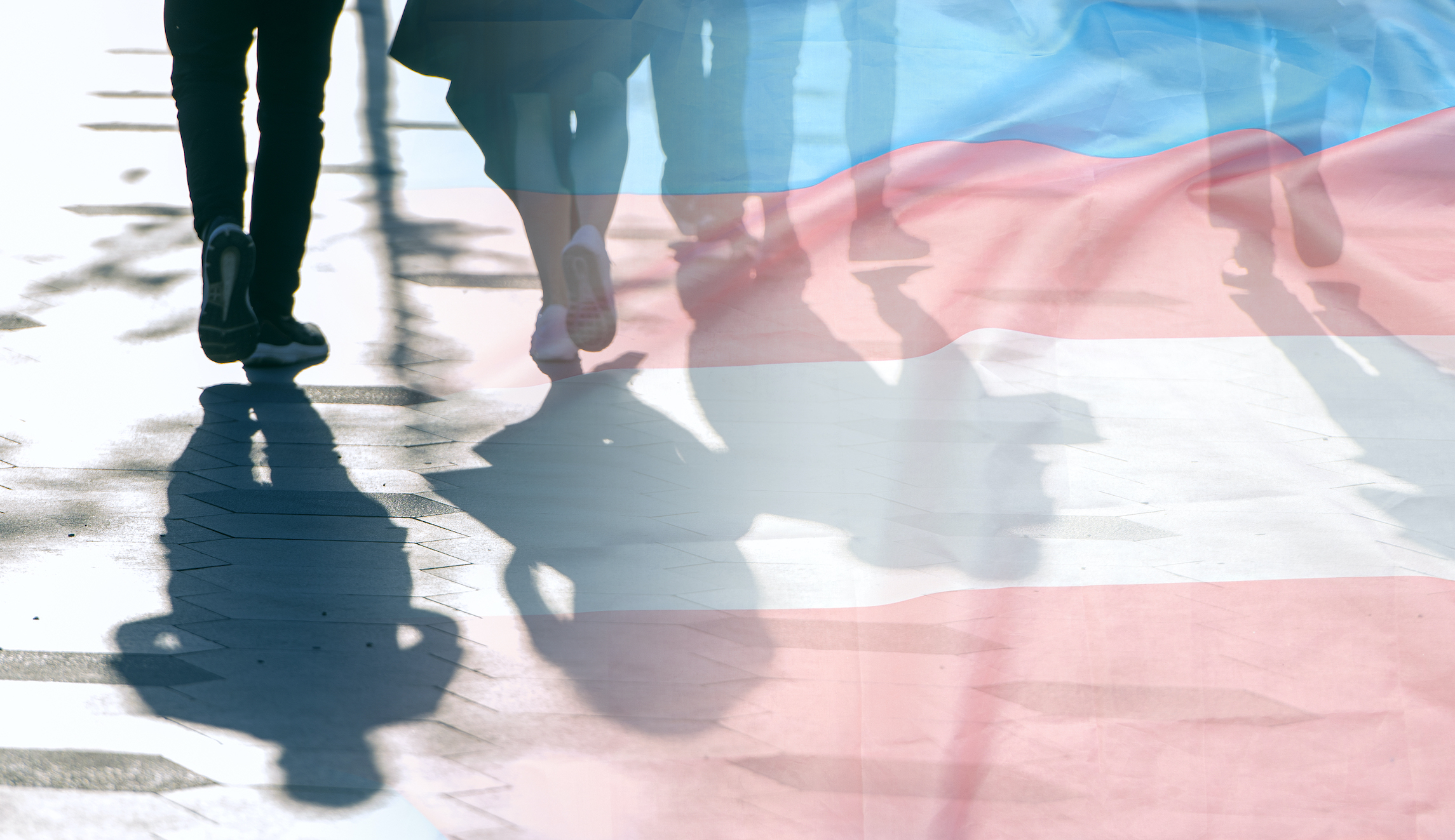 A new look at trans in America