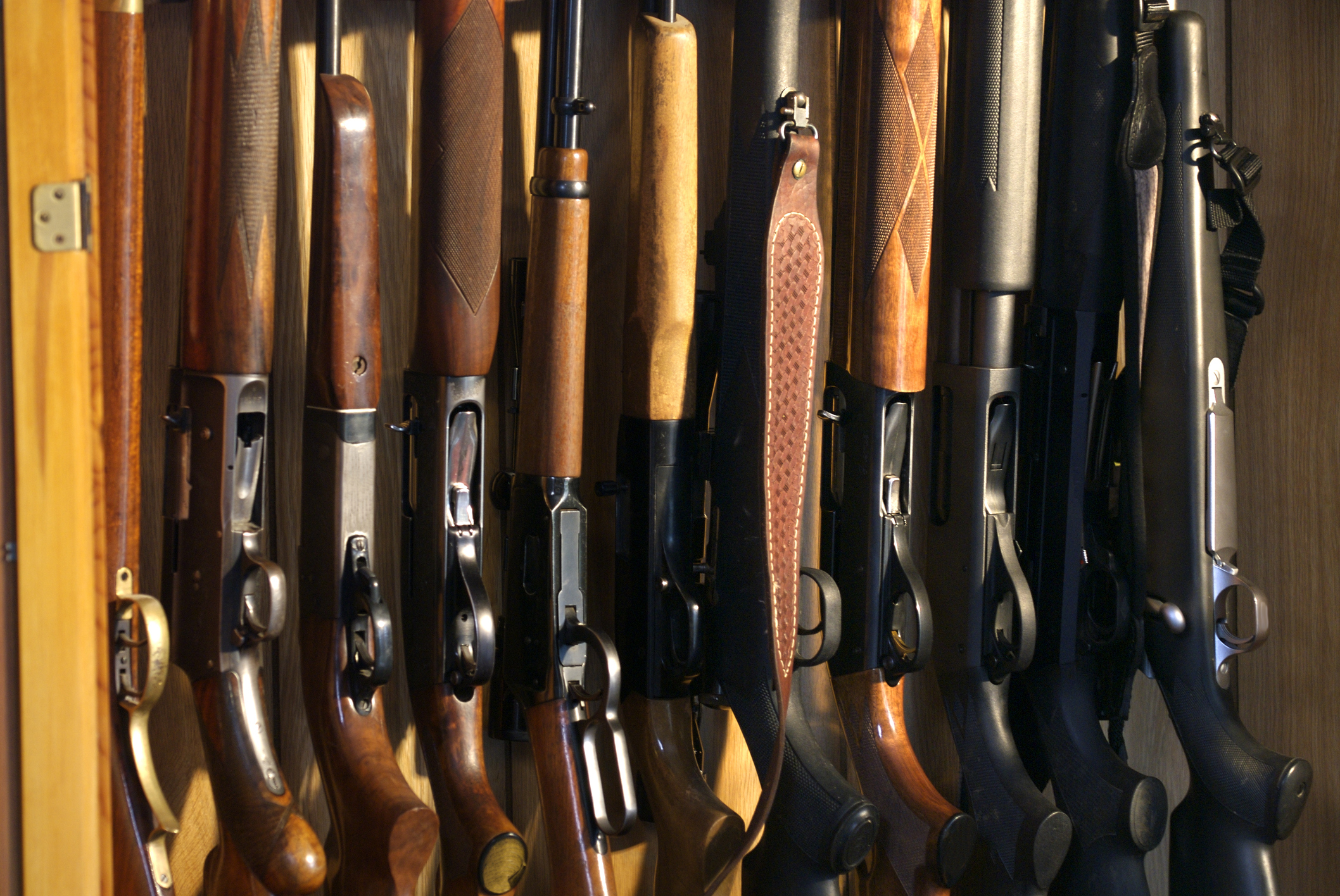Anti-hunters are loading up to outlaw lead ammunition