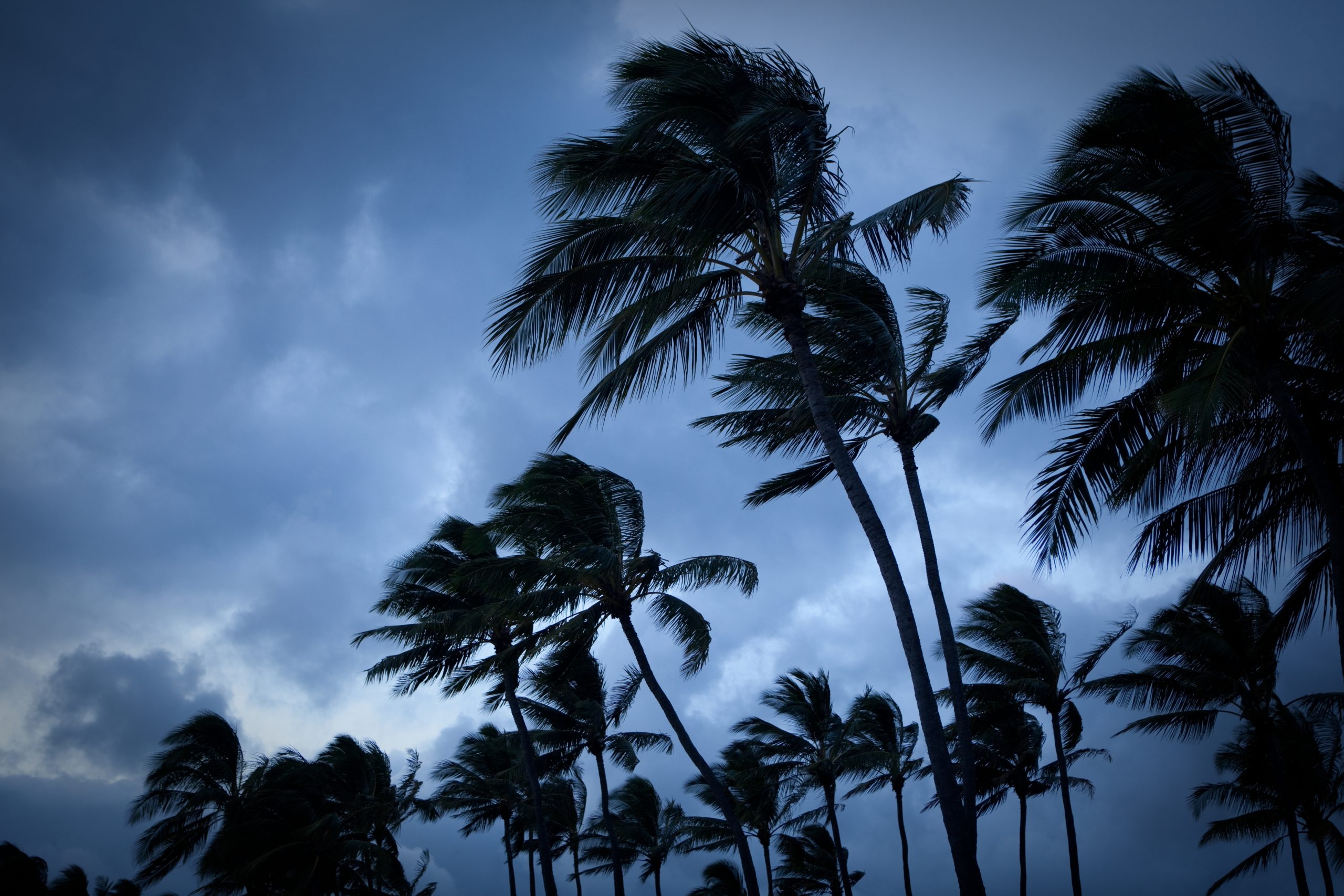Gulf Coast facing rain and flood threats as potential tropical storm moves in