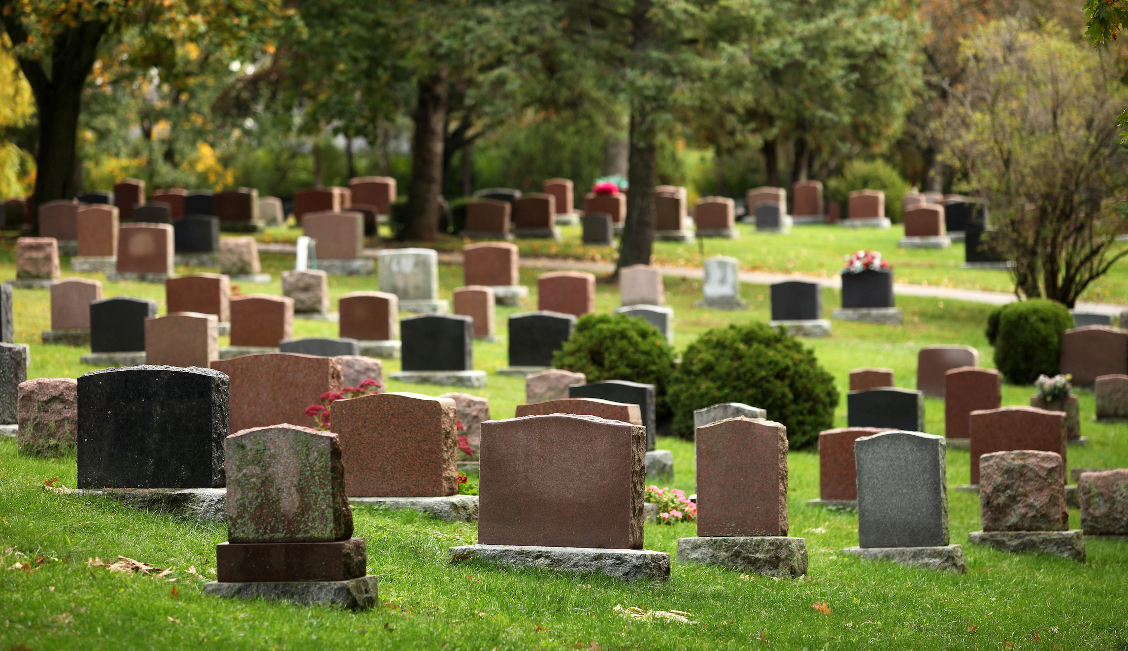 Fetal remains found in Illinois home of abortion doctor to receive ‘proper burial’