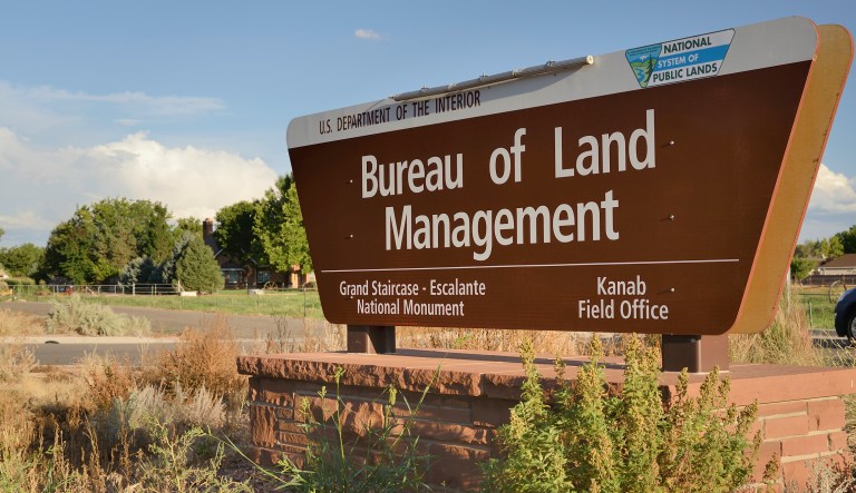 Senate Democrats seemingly fine with Biden nominee’s ecoterrorist connection and anti-child ideology