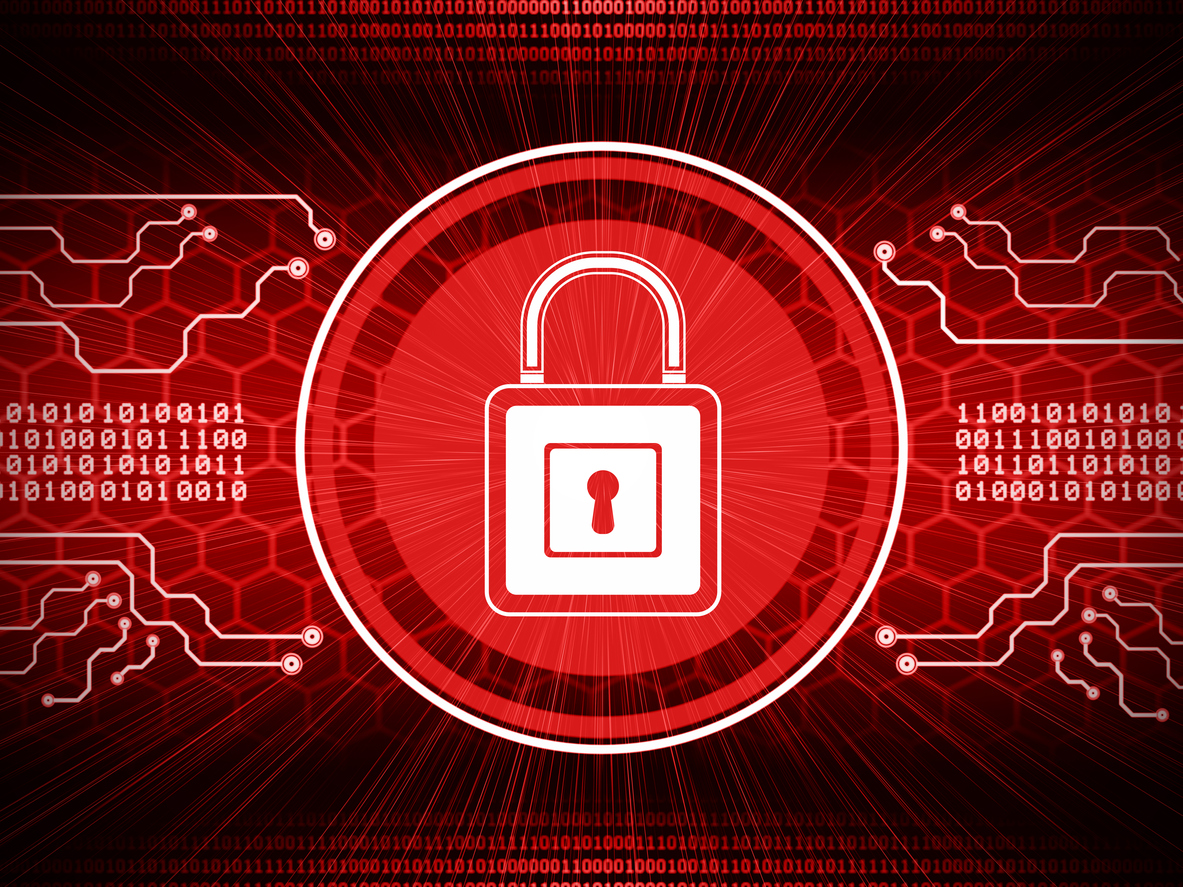 New cyber agency marks its territory