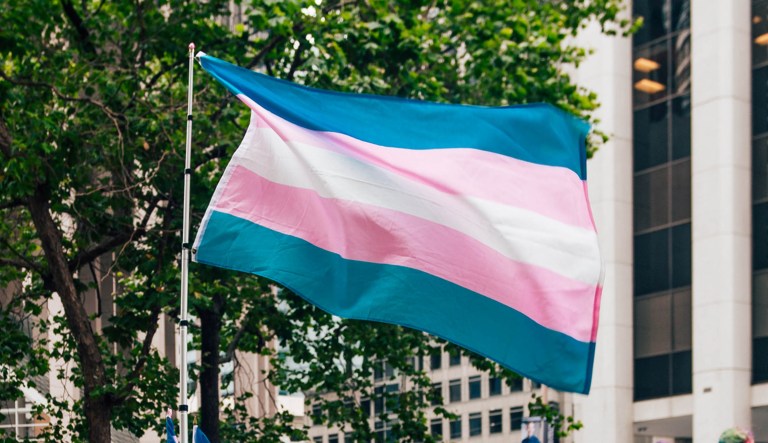 A transgender pride flag is shown.