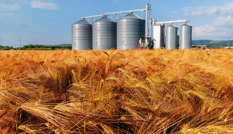 A glitch in the new tax law involves a problem in the new, special tax break for small businesses organized as pass-throughs.