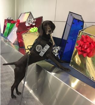 Iza is pictured near some box-themed decorations at Charlotte Douglas International Airport.