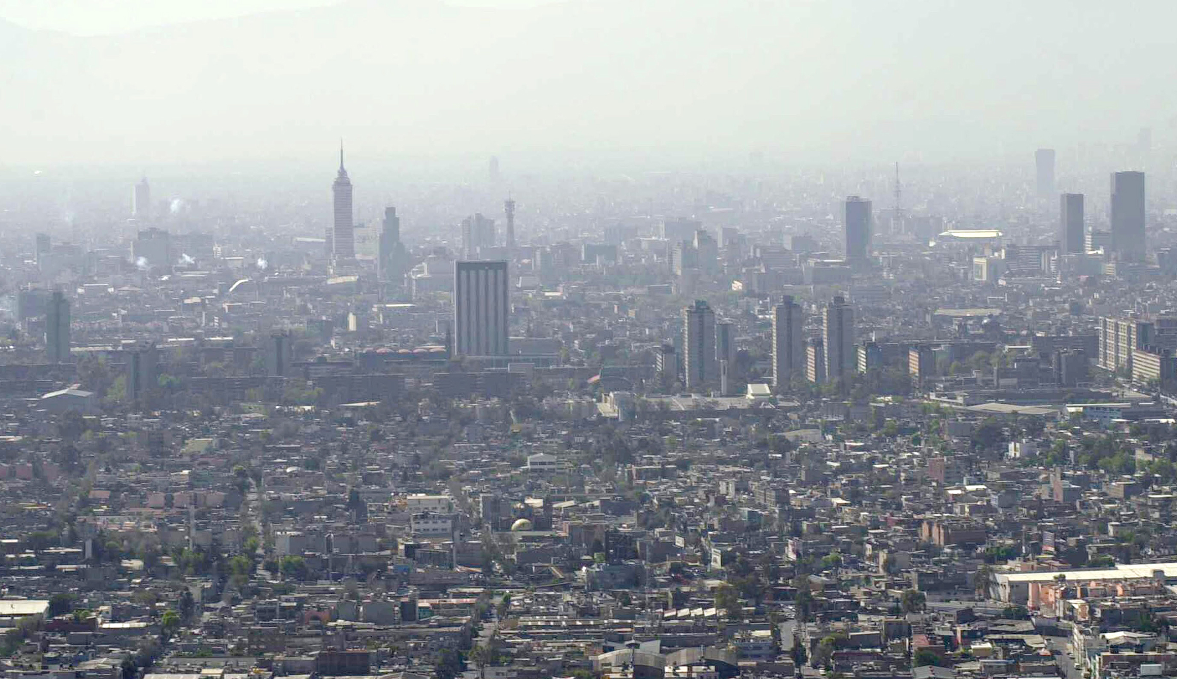 Madcap Mexicans and doomed NEETs