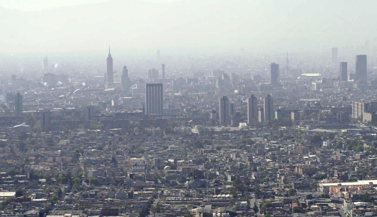 Madcap Mexicans and doomed NEETs