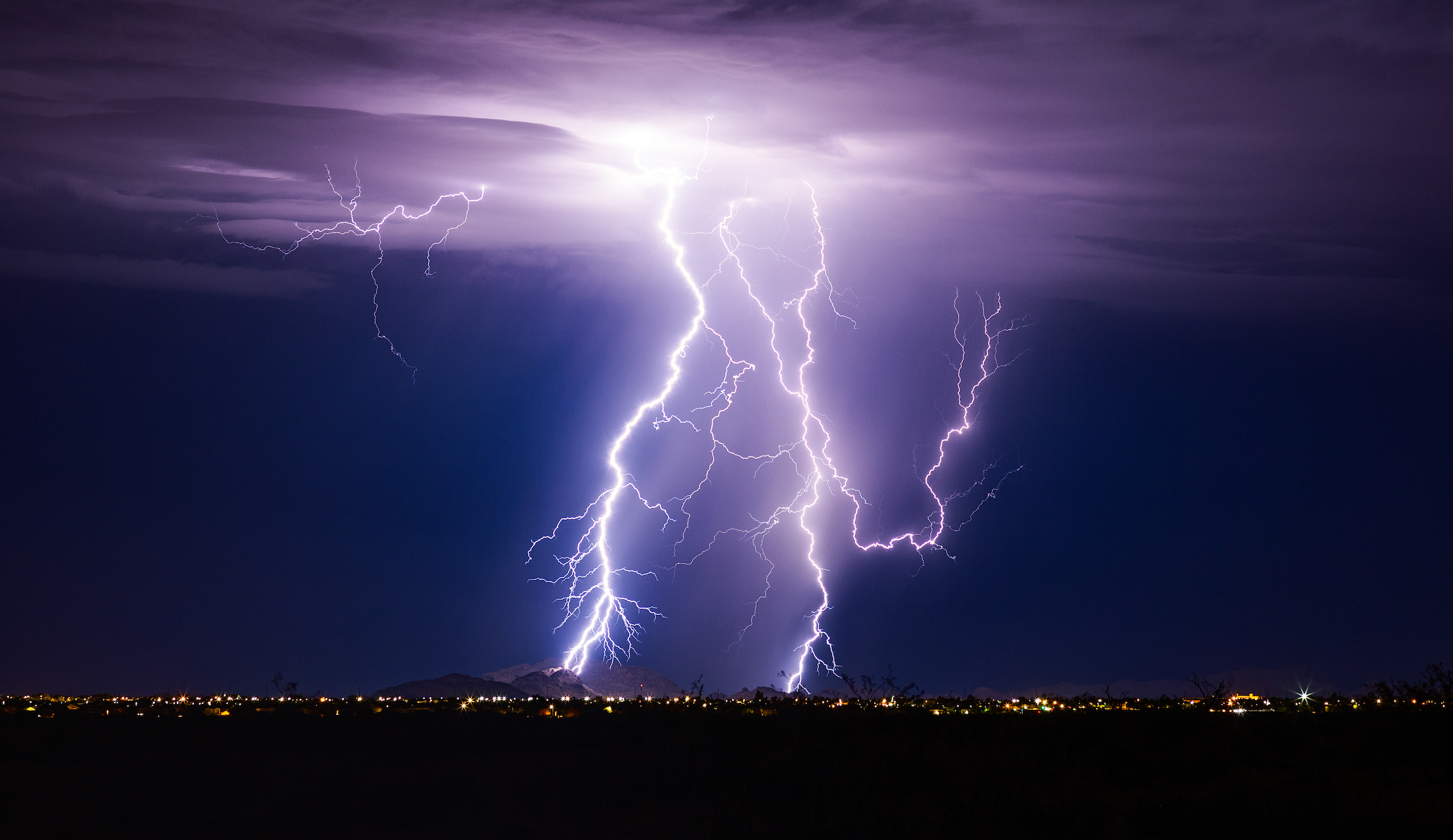 WATCH: Man and dogs survive lightning strike after good Samaritans intervene
