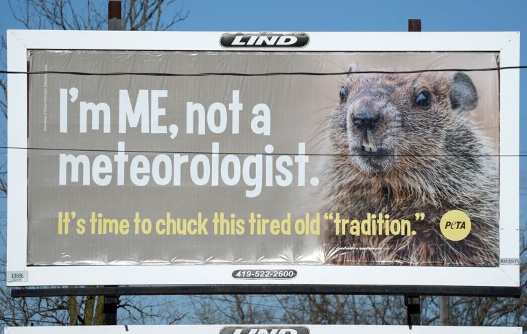 PETA Groundhog Day billboard