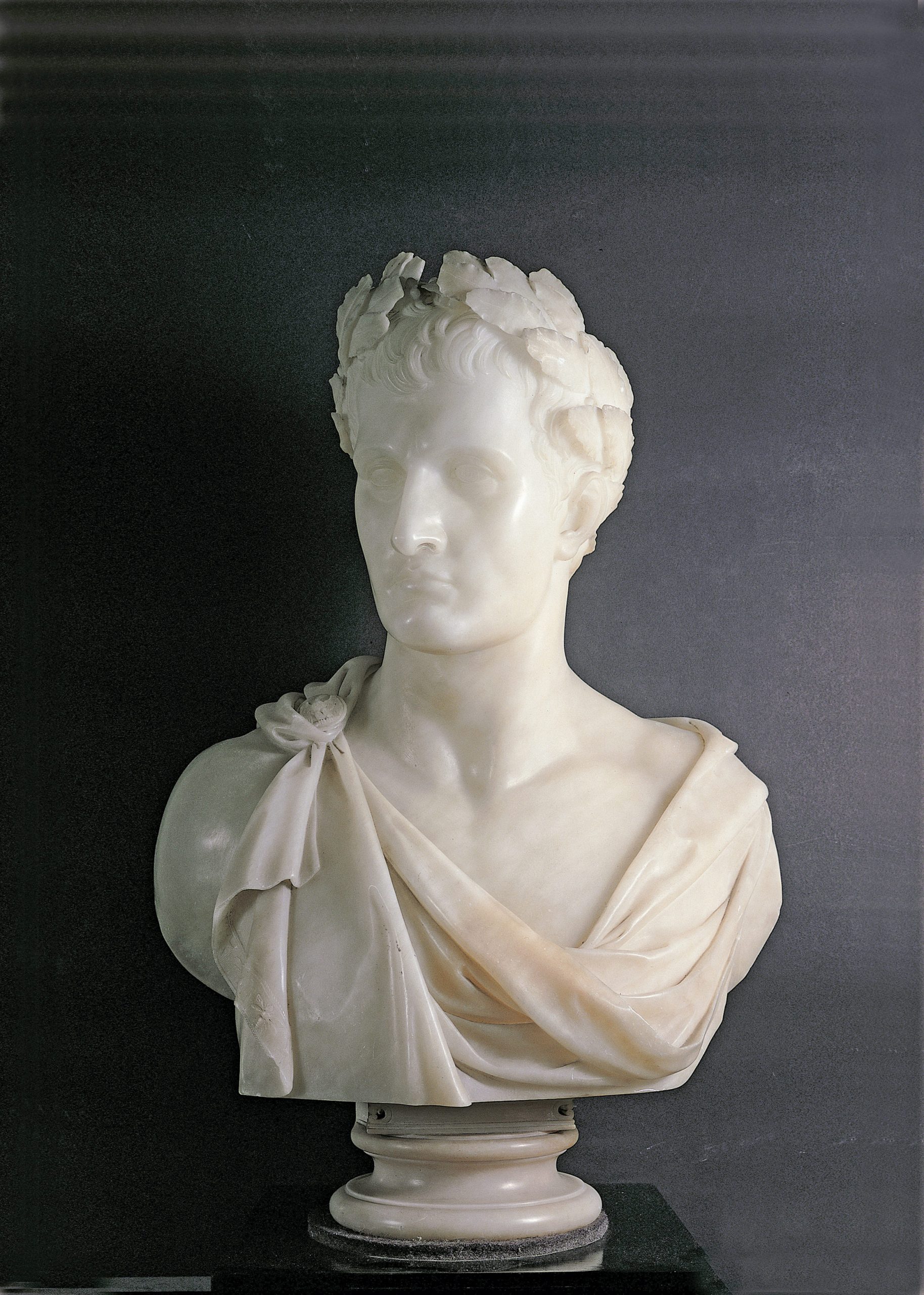 Bust of Napoleon