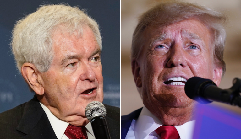 Former Speaker of the House Newt Gingrich (left) and former President Donald Trump (right).