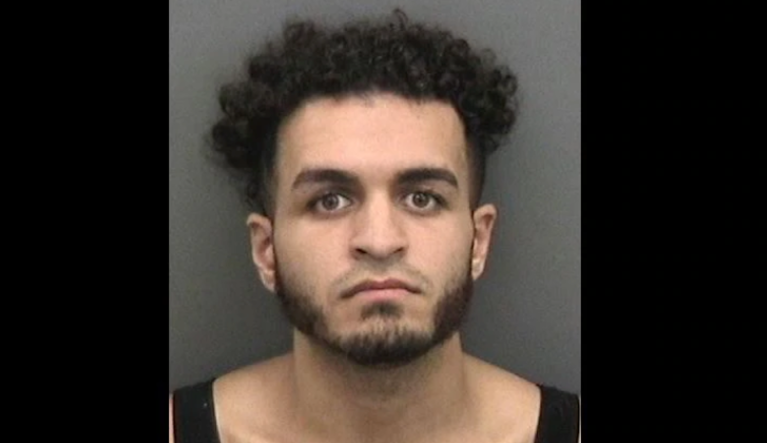 'Grinch-like move': Amazon driver accused of stealing gifts he was supposed to deliver