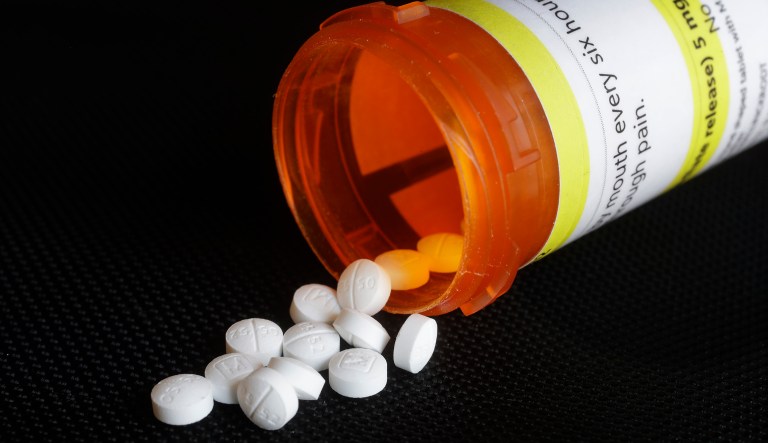 Oxycodone pills are displayed, Wednesday, Aug. 29, 2018, in New York.