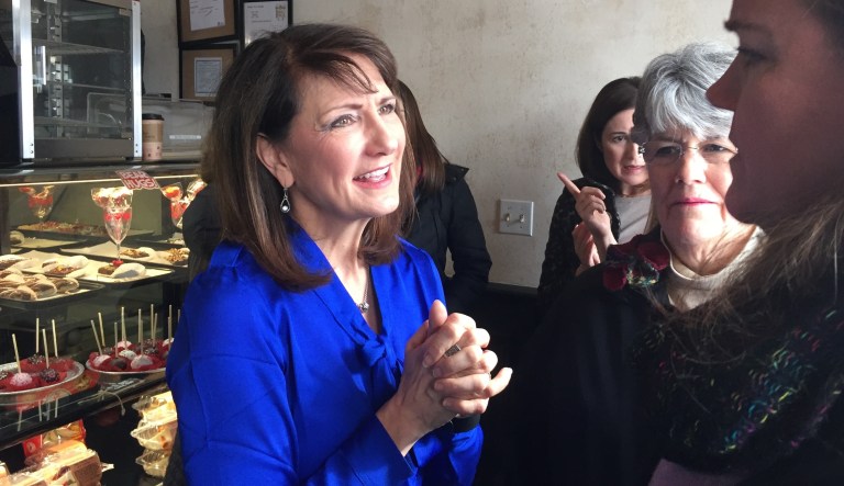 In this Feb. 13, 2018 photo Democratic candidate for the 3rd congressional district Marie Newman speaks with supporters at a campaign event in LaGrange, Ill. Newman is a political newcomer challenging US Rep. Dan Lipinski in the March 20 primary. 