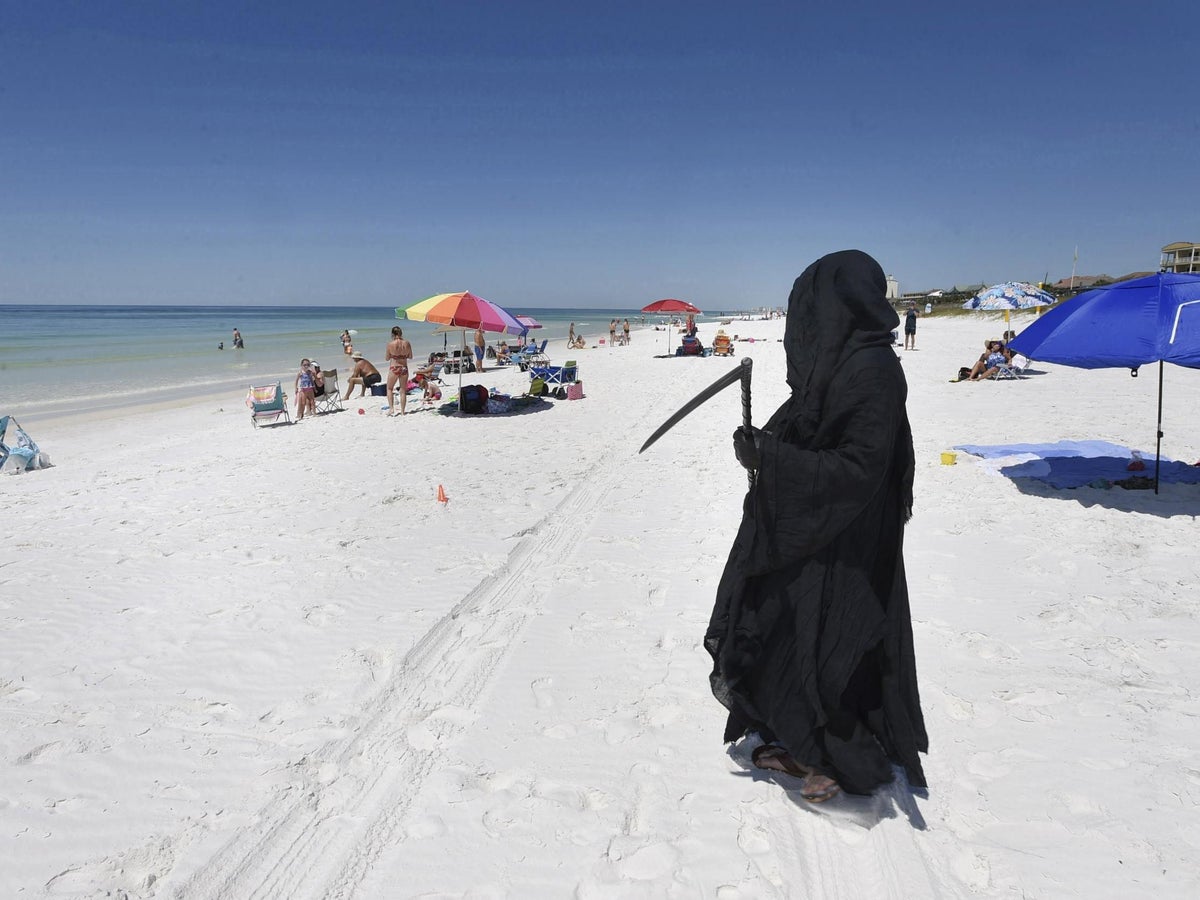 CNN’s promotion of idiot ‘Grim Reaper’ attorney ends in embarrassment