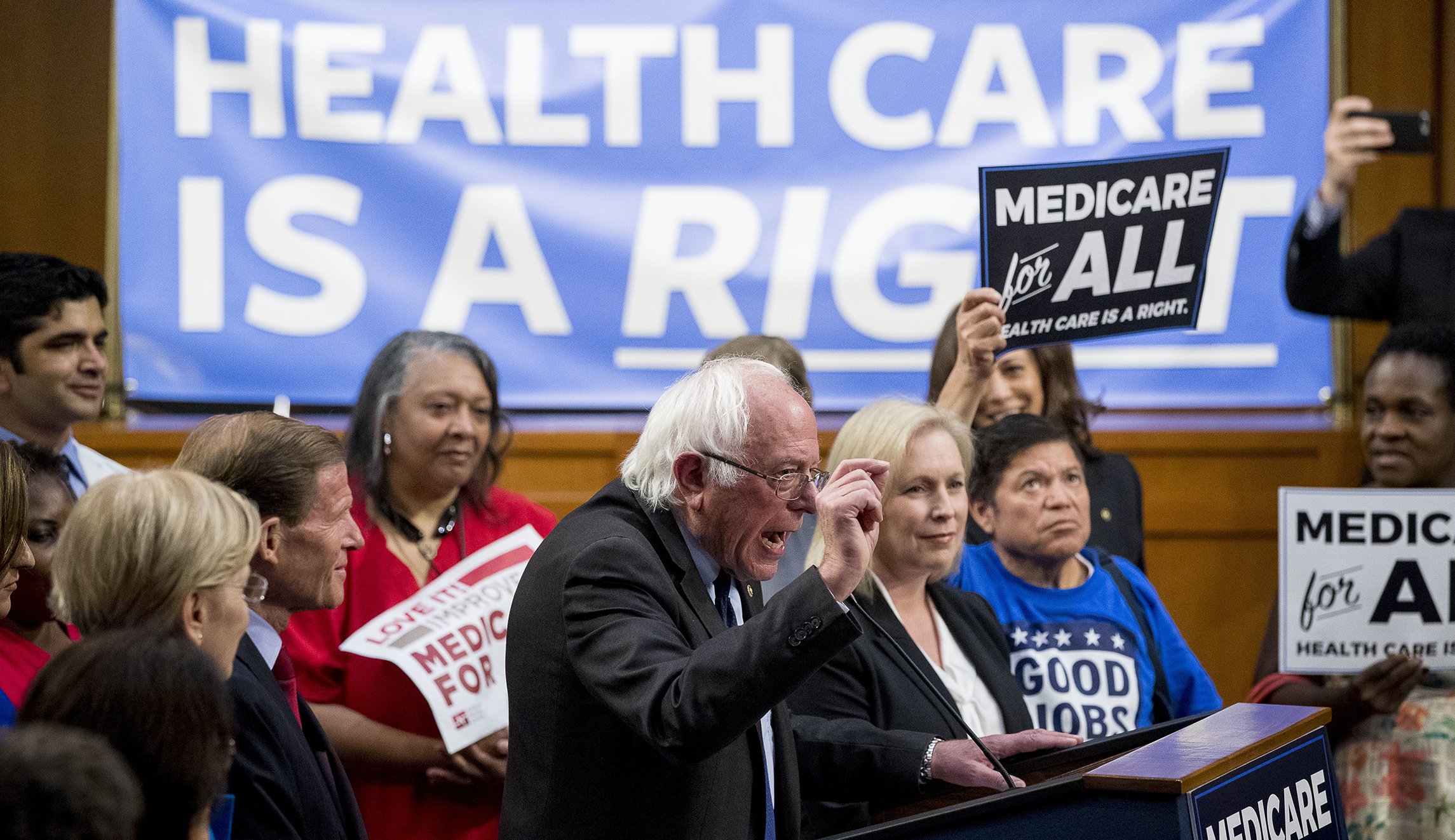 ‘Medicare for all’ branding could be backfiring on liberals