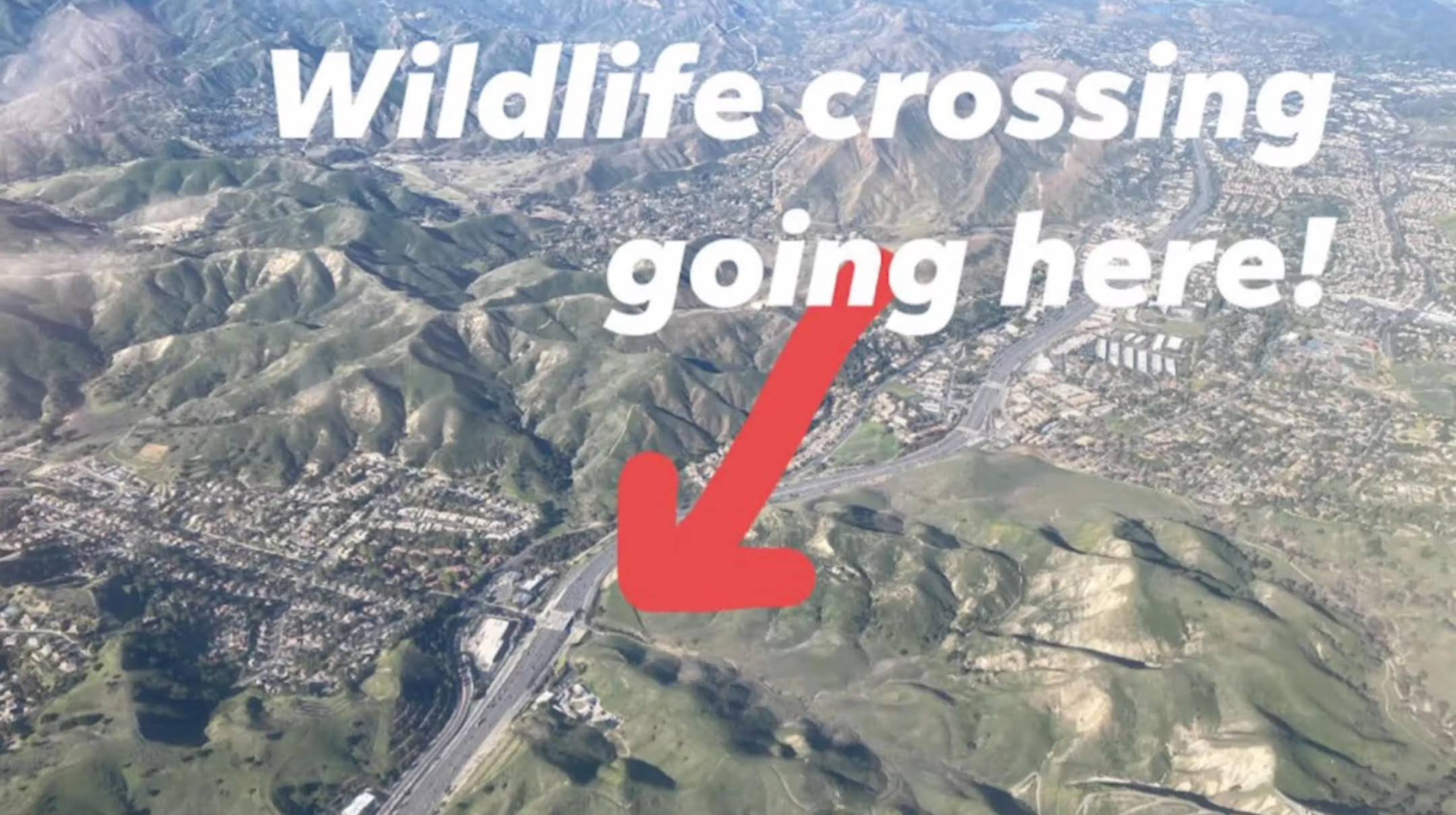 Save LA Cougars map.jpg