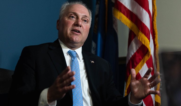 Minority Whip Steve Scalise talks to a reporter in the U.S. Capitol on July 29, 2021