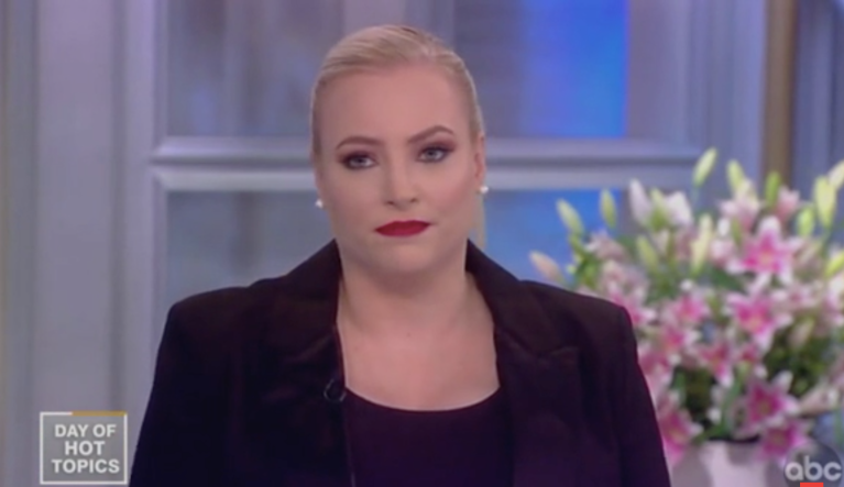 Meghan McCain: Bernie Sanders supporters the 'dirtiest thugs' online