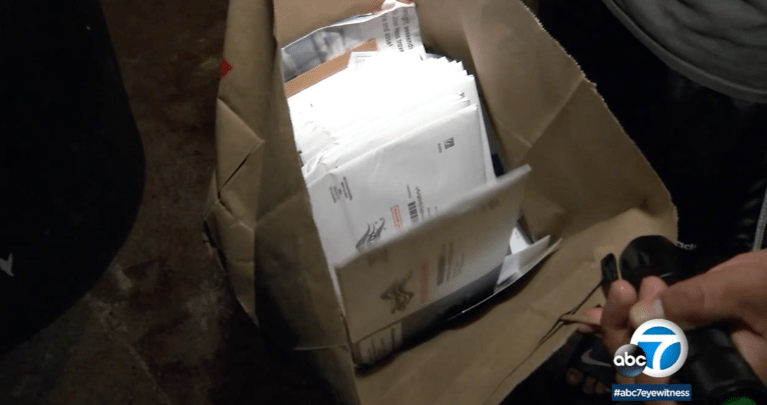 ‘I thought it was somebody playing a prank’: Man finds dozens of ballots in California trash