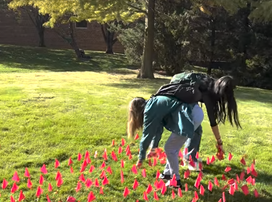 ‘I’ll f***ing keep killing babies’: Saint Louis University investigating defacement of anti-abortion memorial