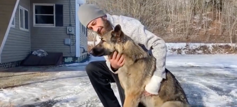 Hero dog leads New Hampshire police to scene of owner’s truck crash