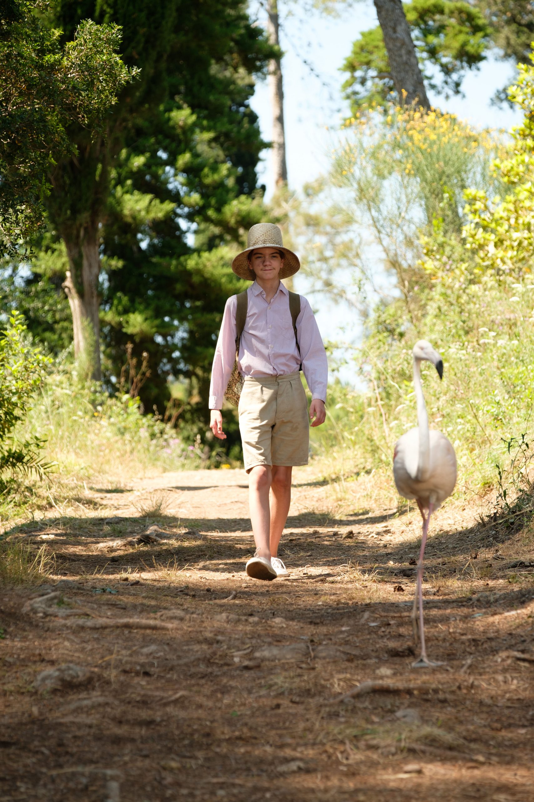 Milo Parker as young Gerald Durrell in the third season of ‘The Durrells in Corfu.’