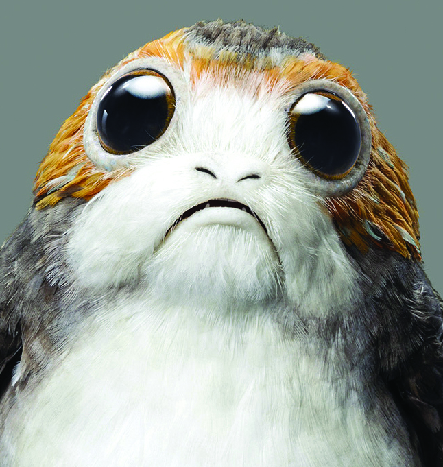 Then and Now.porg.jpg
