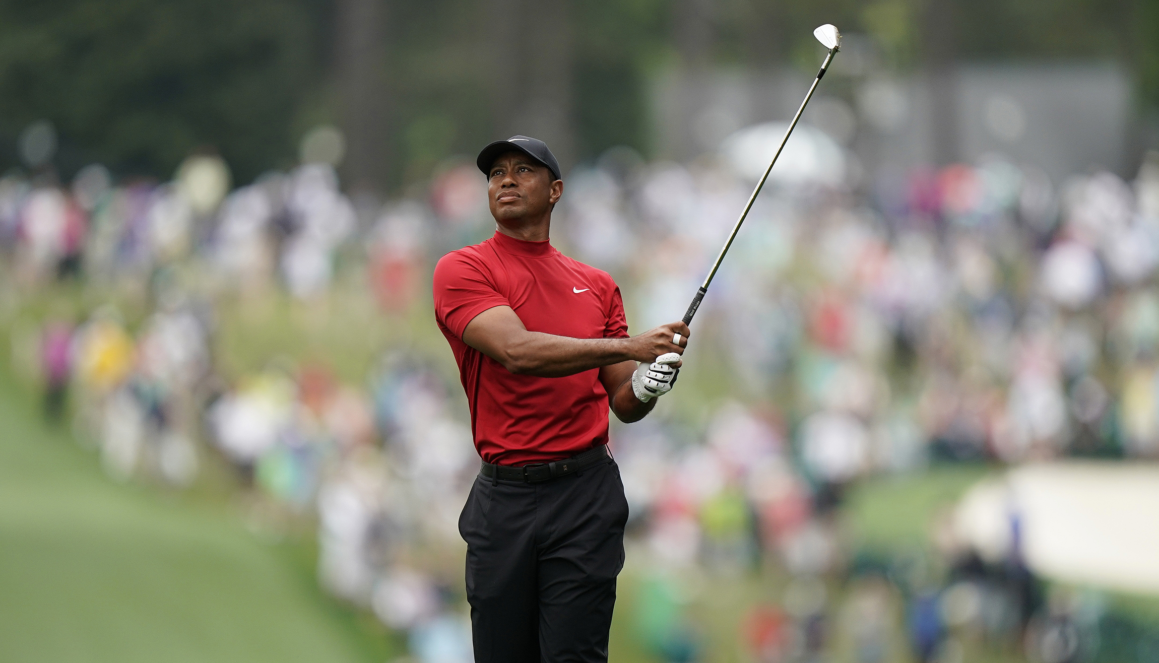 TIGER.jpg