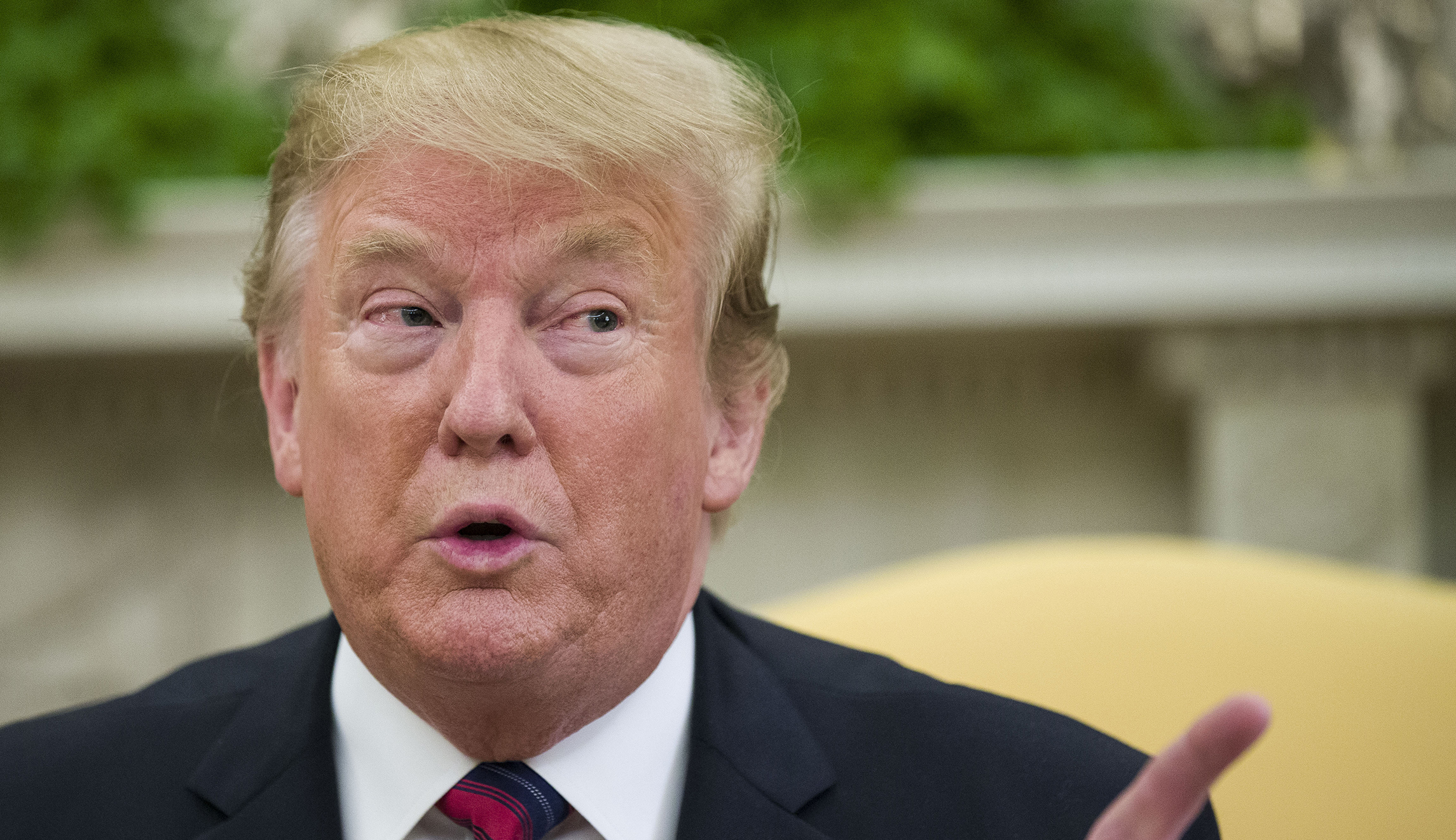 Trump: Inaccurate stories about me is not freedom of the press
