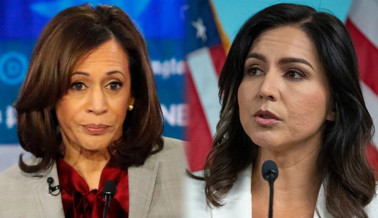 Tulsi Gabbard and Kamala Harris are seen.